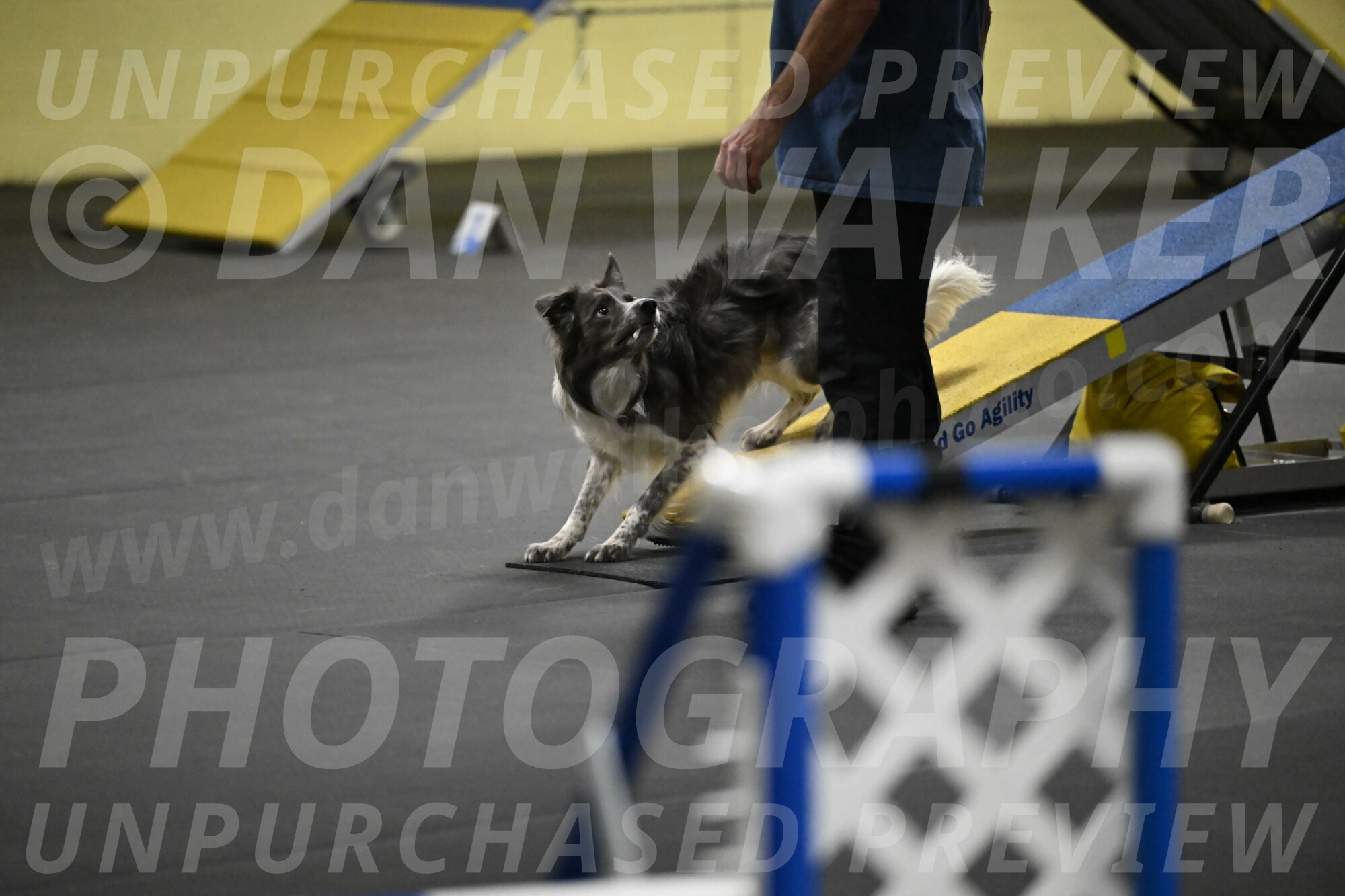 Grindylow-Rachow-03984