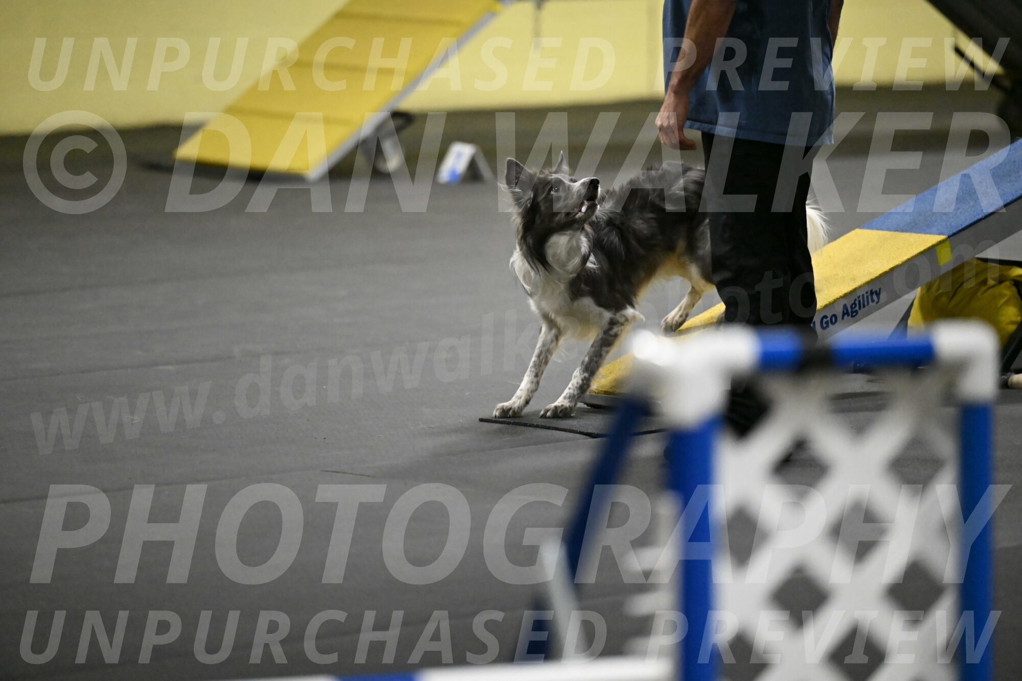 Grindylow-Rachow-03986