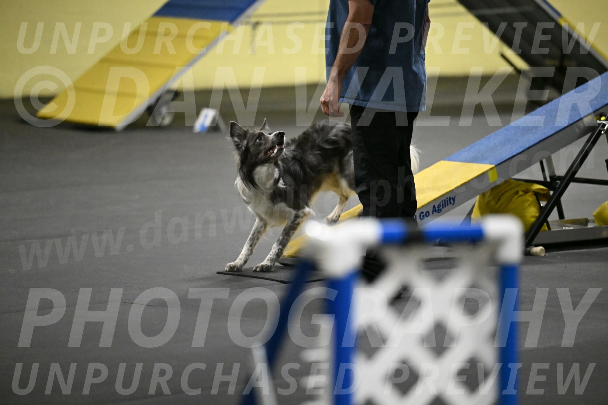 Grindylow-Rachow-03989