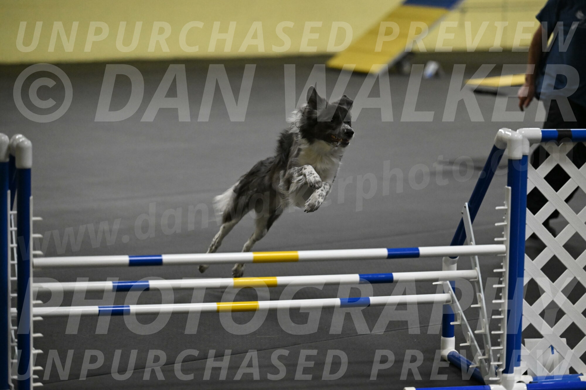 Grindylow-Rachow-03993