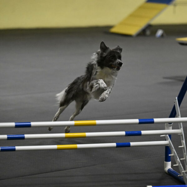 Grindylow-Rachow-03993