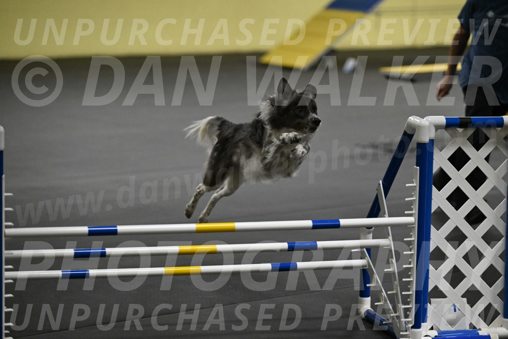 Grindylow-Rachow-03994