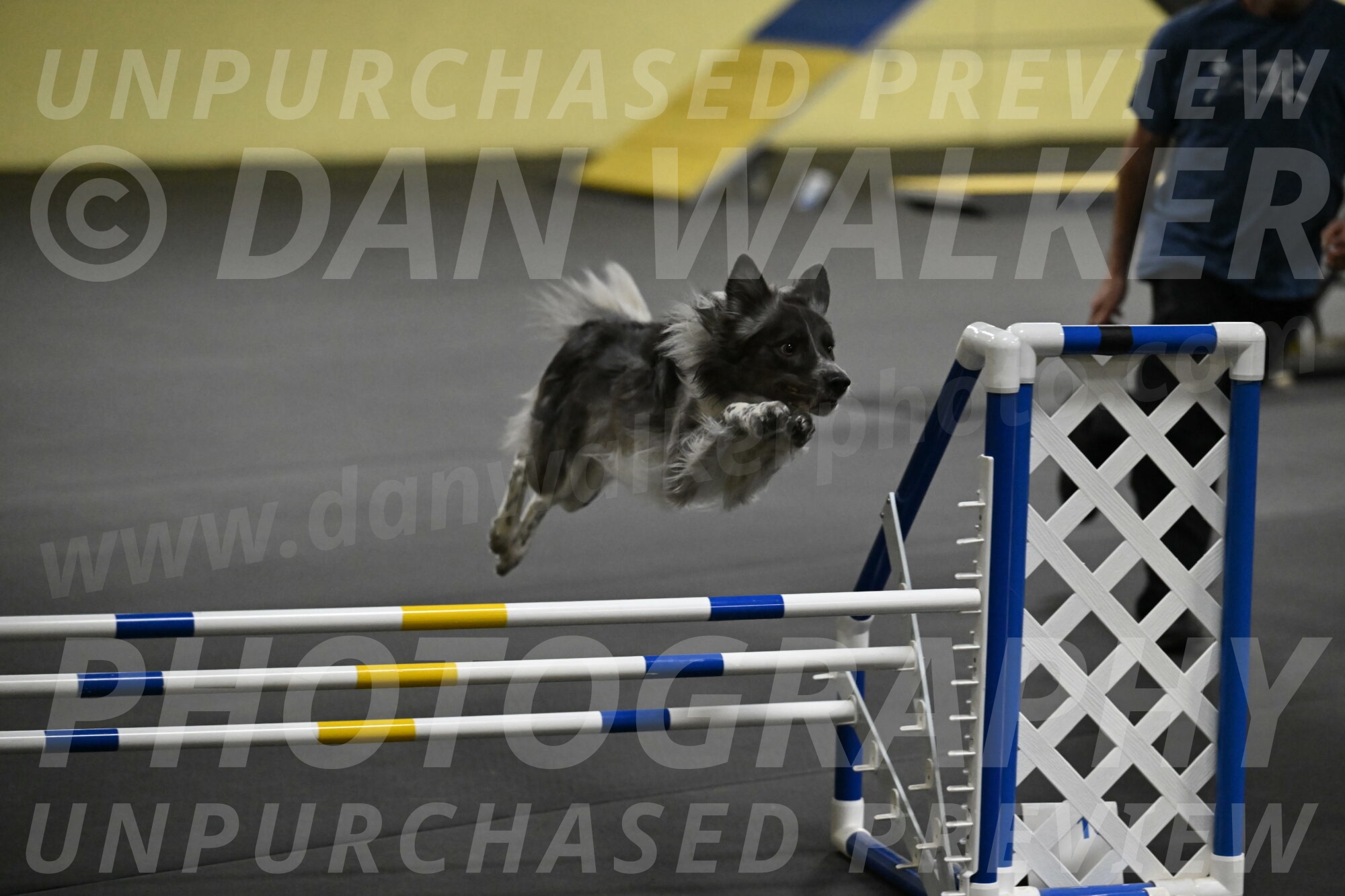 Grindylow-Rachow-03995