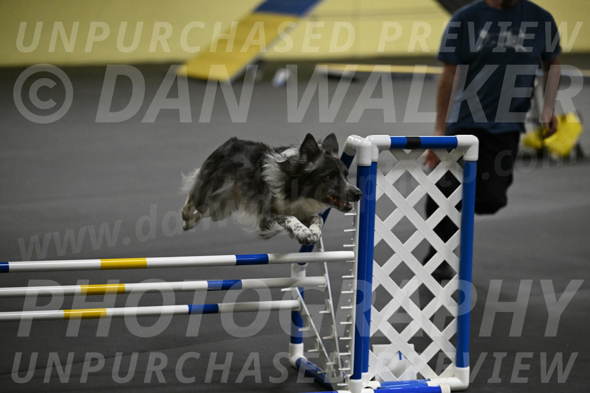 Grindylow-Rachow-03996