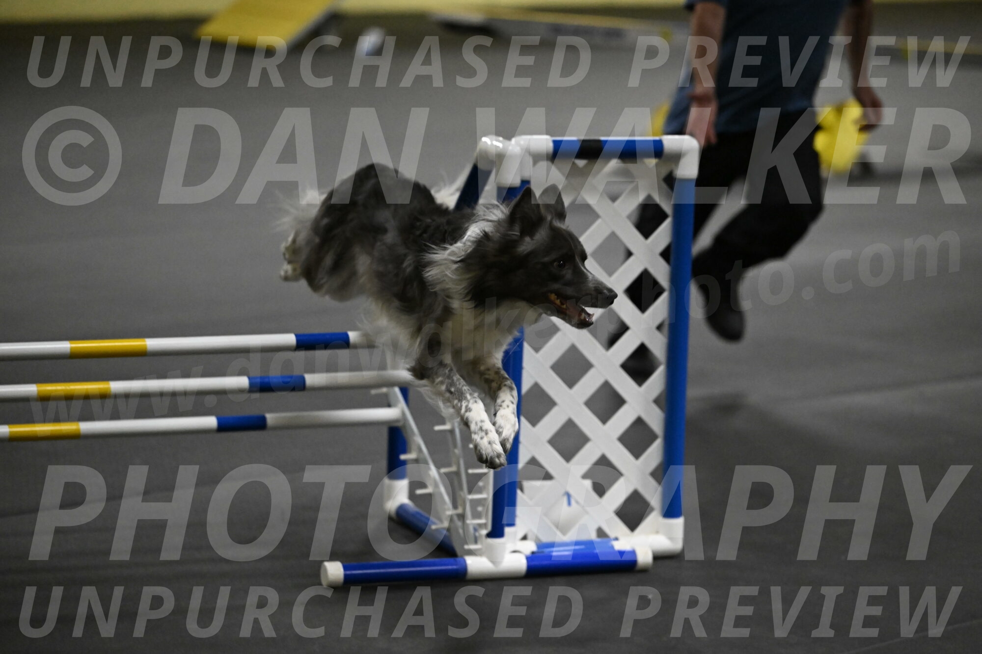 Grindylow-Rachow-03997