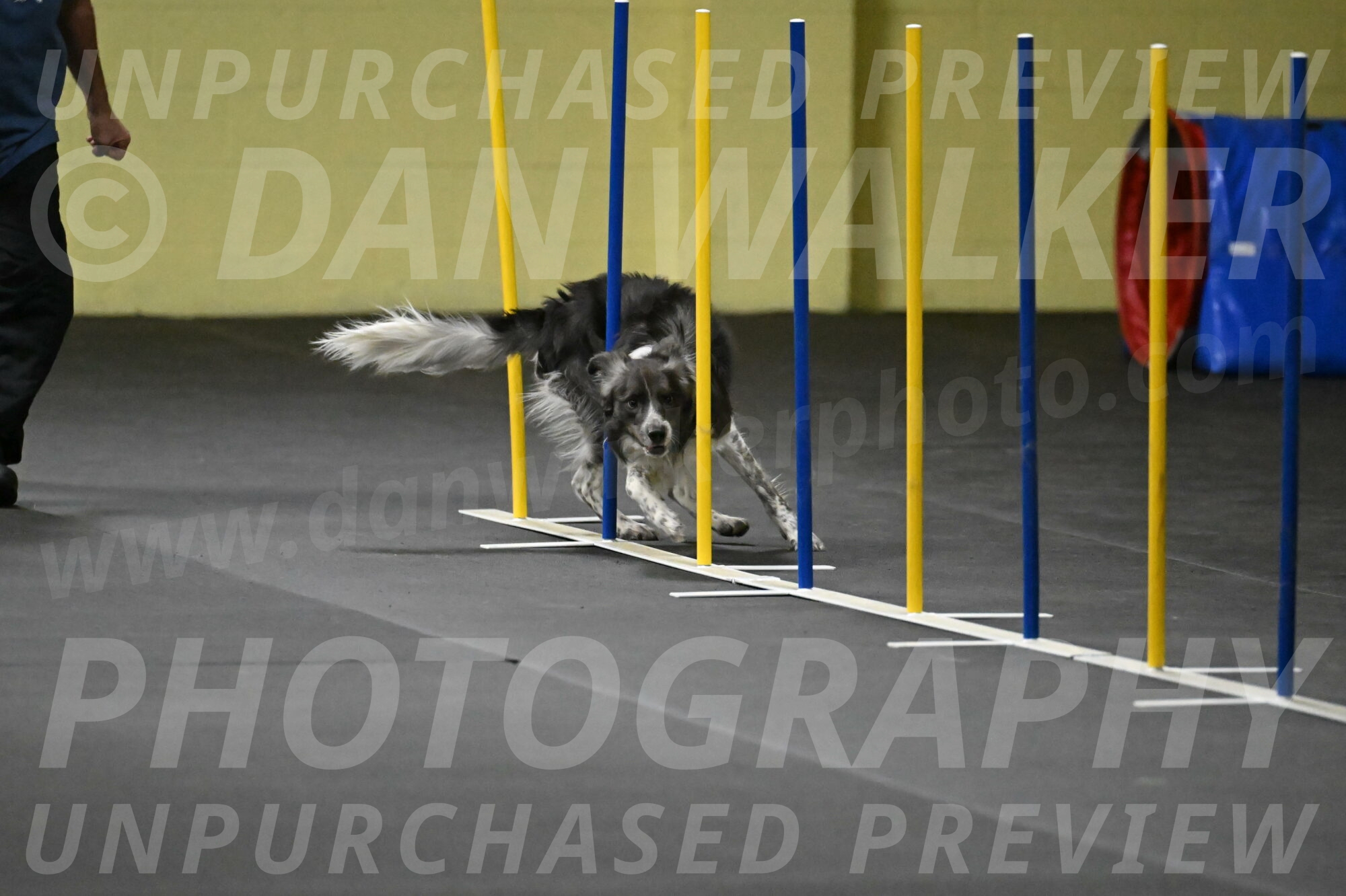 Grindylow-Rachow-04017