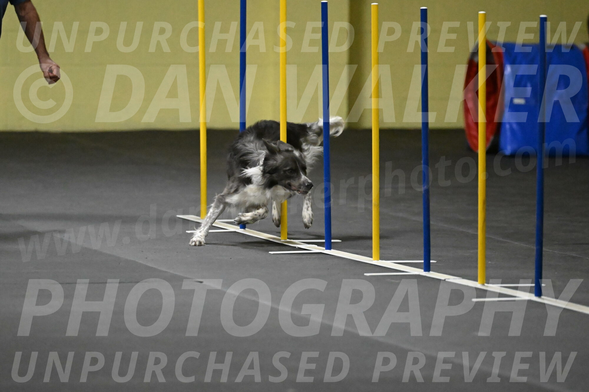 Grindylow-Rachow-04019