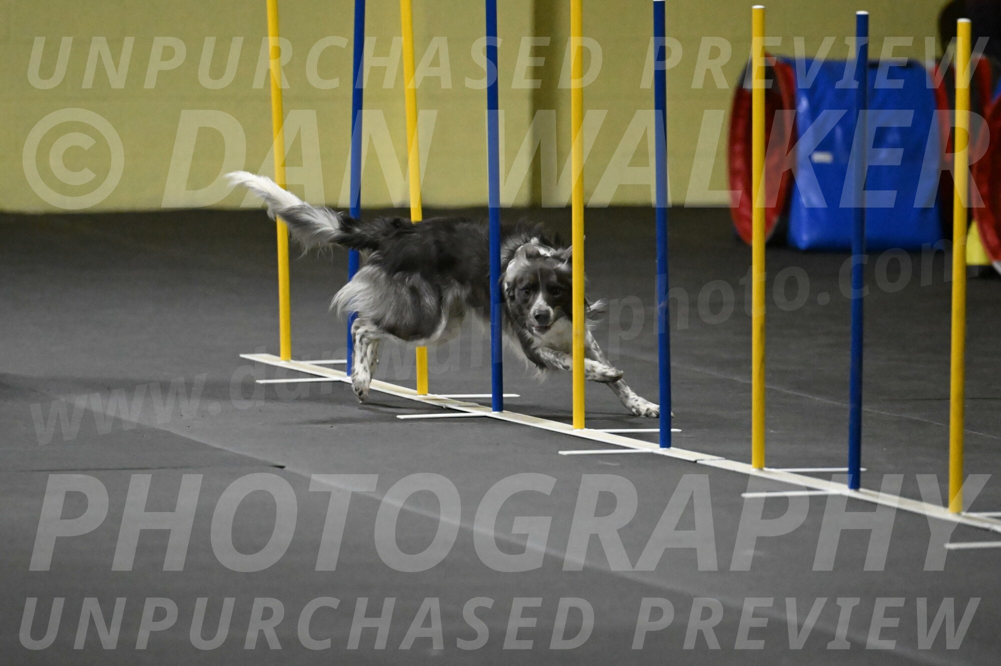 Grindylow-Rachow-04022