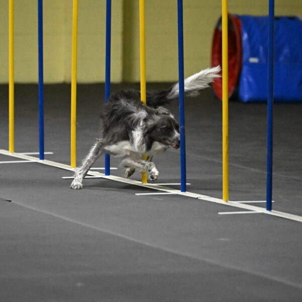 Grindylow-Rachow-04025