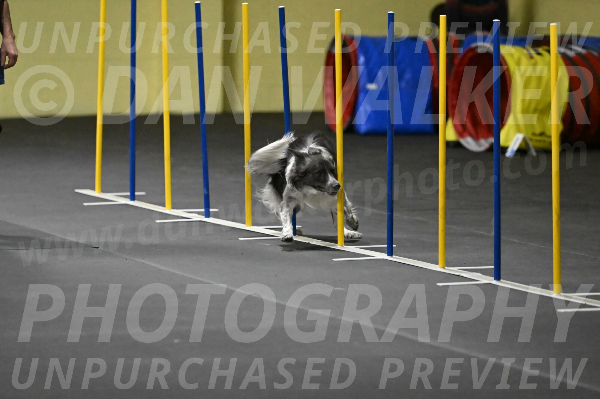 Grindylow-Rachow-04029