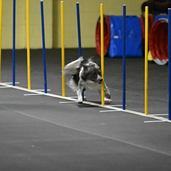 Grindylow-Rachow-04029