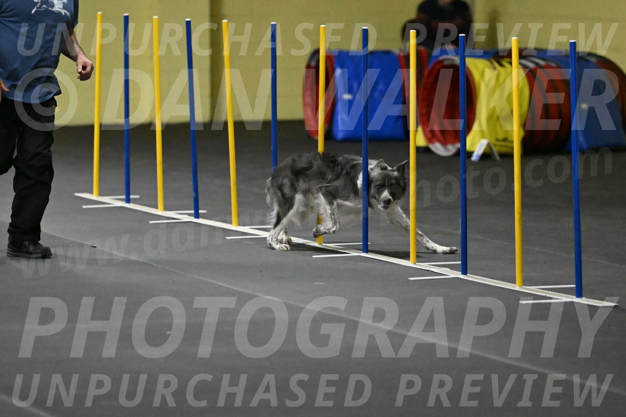 Grindylow-Rachow-04032