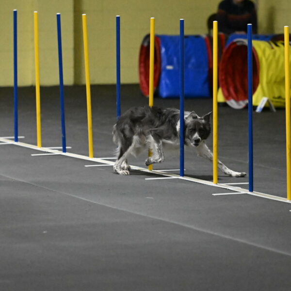 Grindylow-Rachow-04032