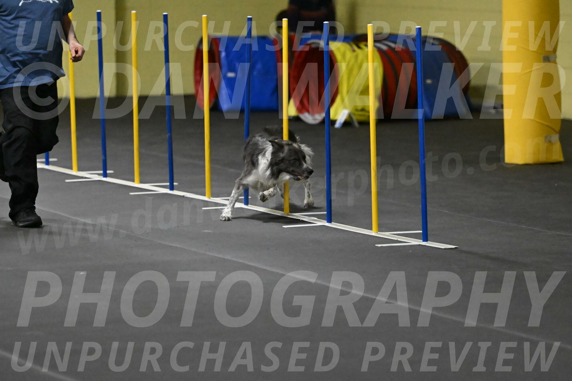 Grindylow-Rachow-04036