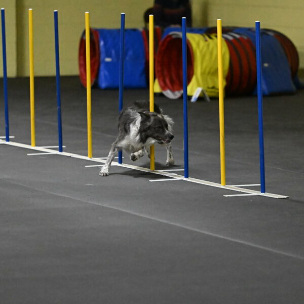 Grindylow-Rachow-04036