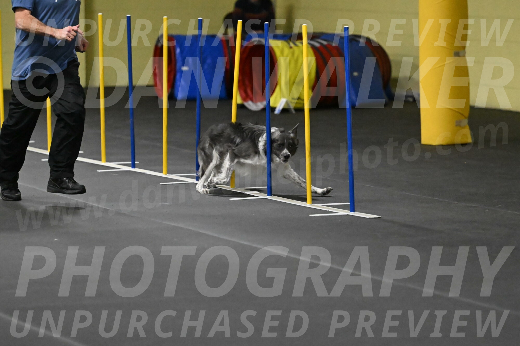 Grindylow-Rachow-04038