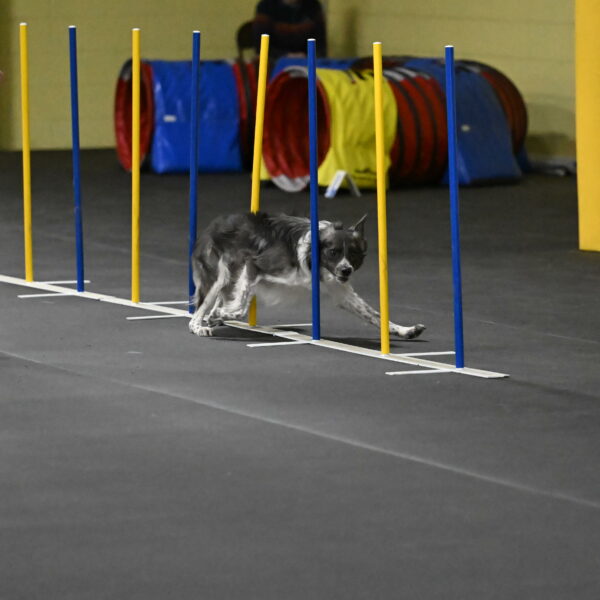 Grindylow-Rachow-04038