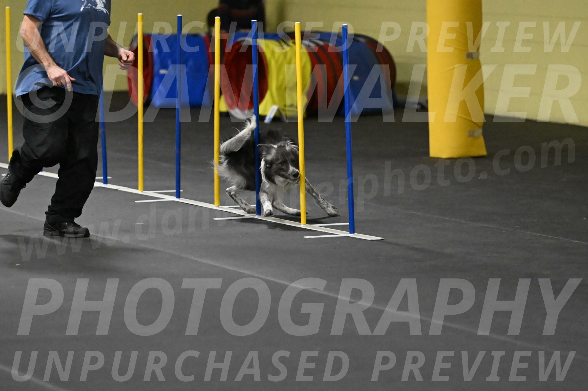 Grindylow-Rachow-04040