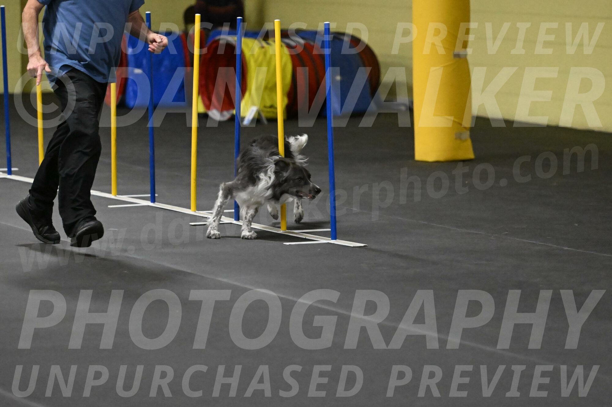 Grindylow-Rachow-04042