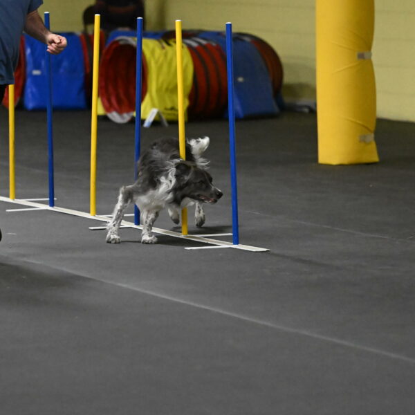 Grindylow-Rachow-04042