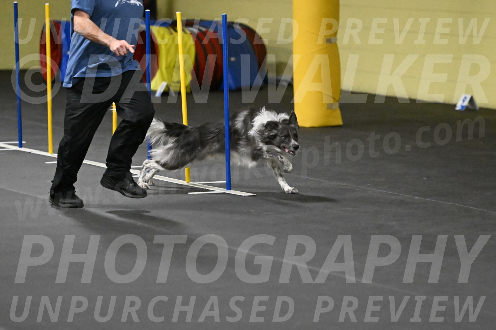 Grindylow-Rachow-04045