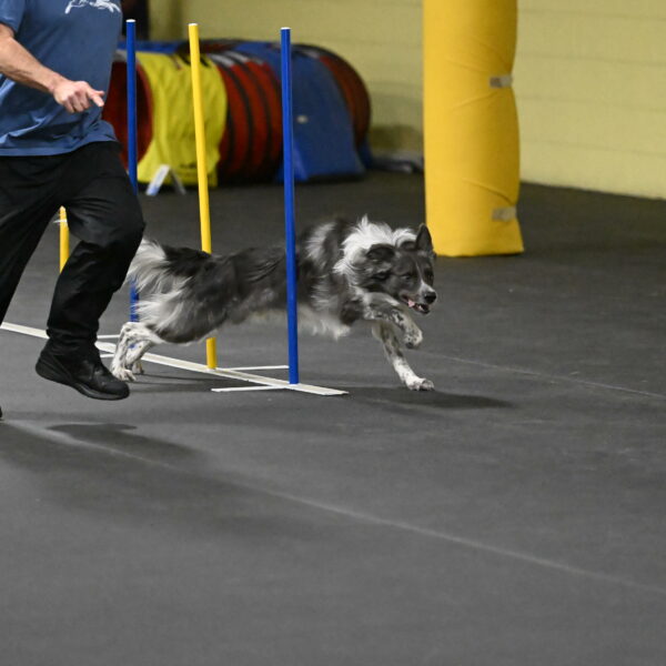 Grindylow-Rachow-04045