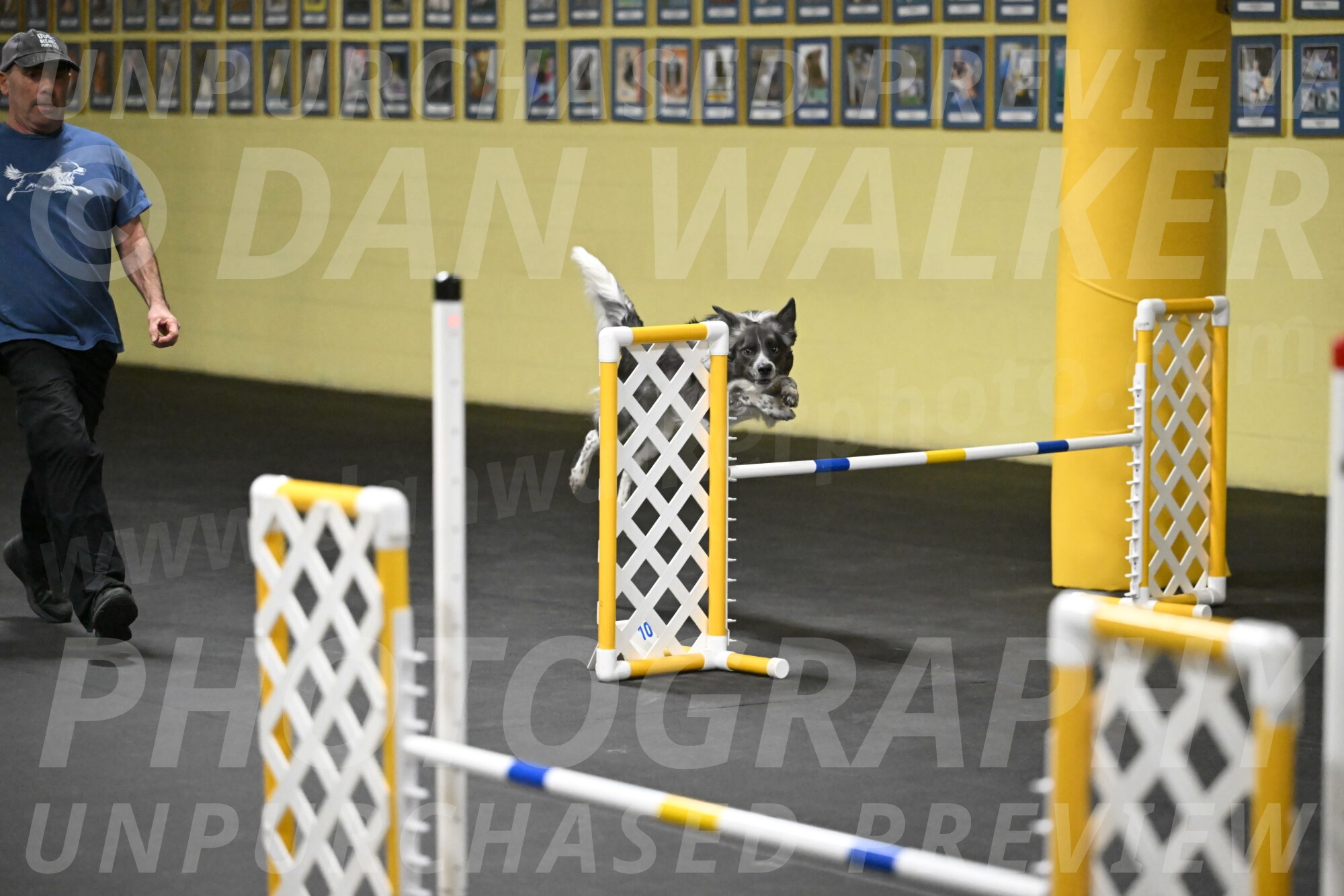 Grindylow-Rachow-04048