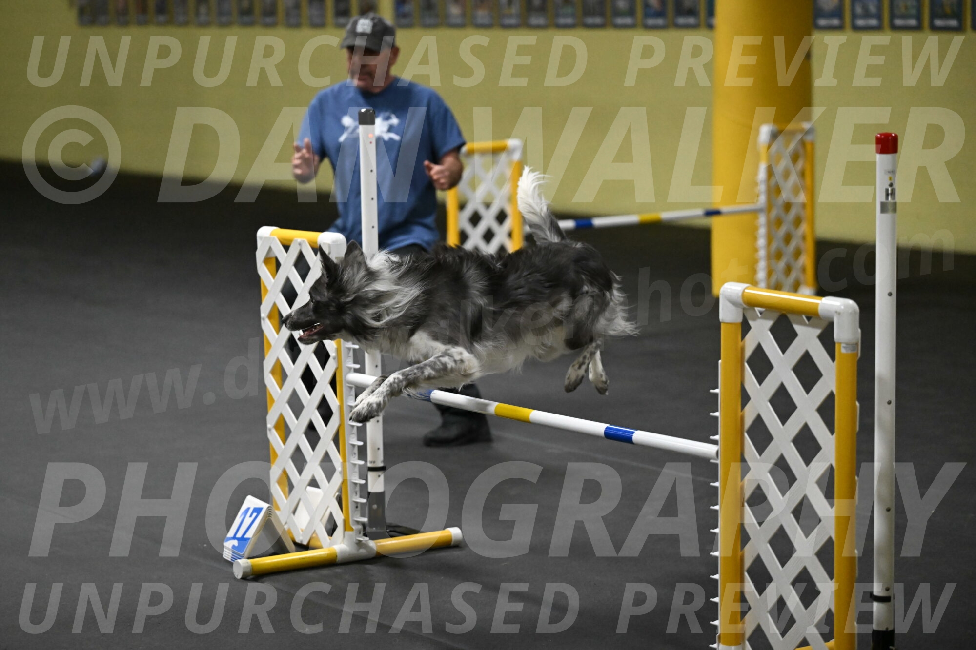 Grindylow-Rachow-04054