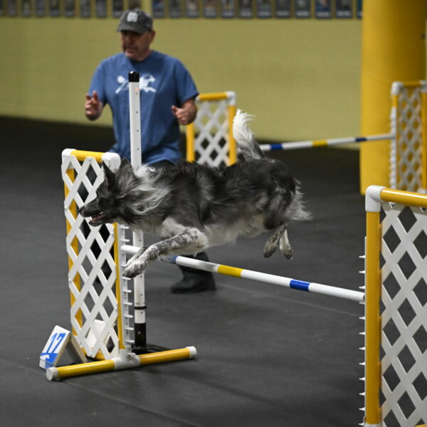 Grindylow-Rachow-04054