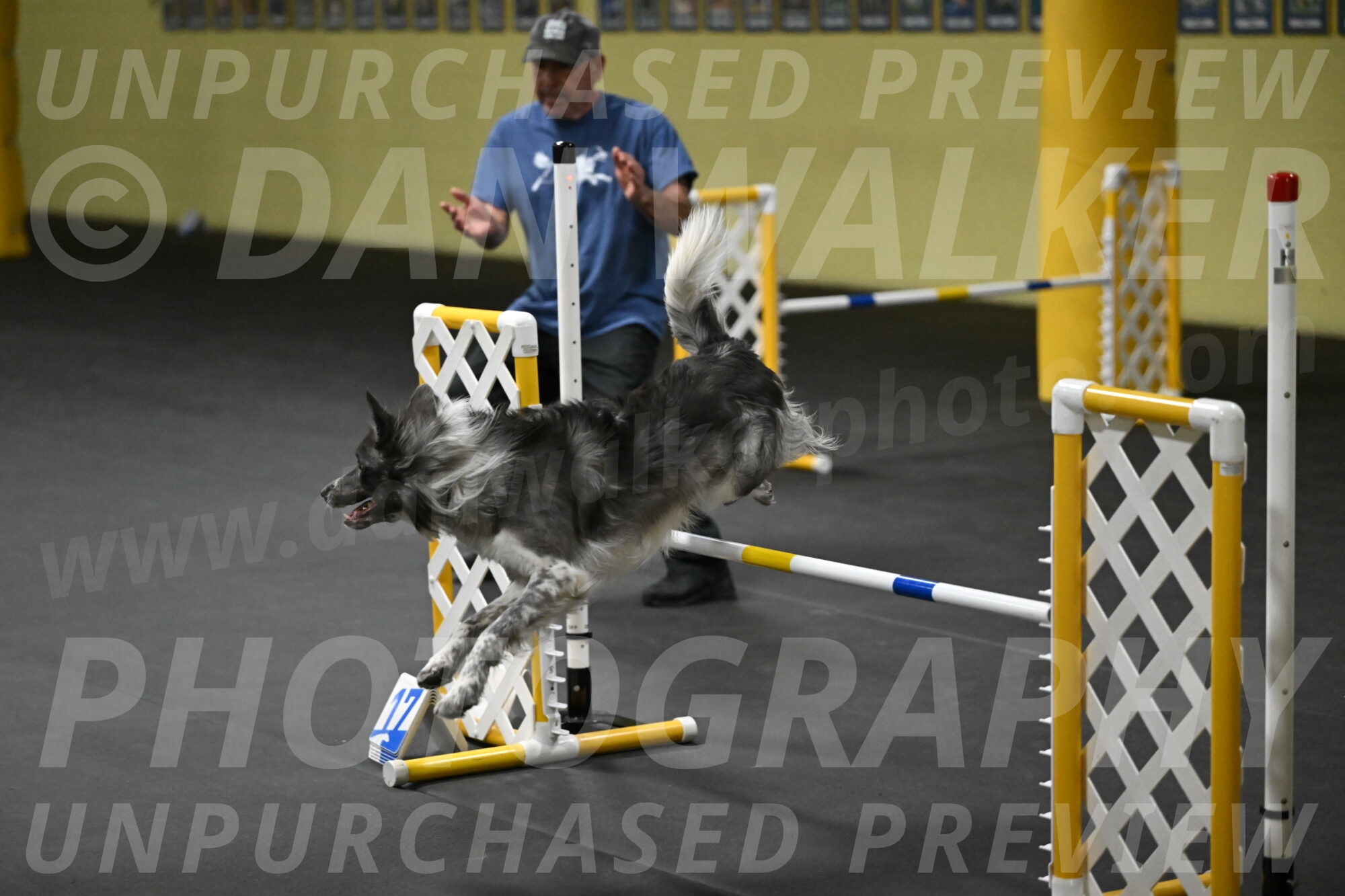 Grindylow-Rachow-04055