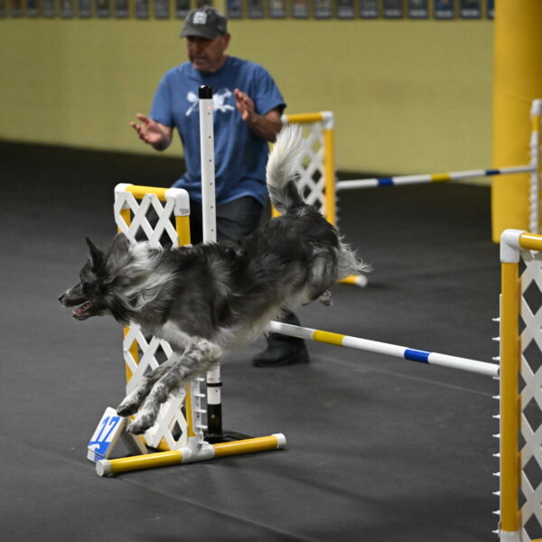 Grindylow-Rachow-04055