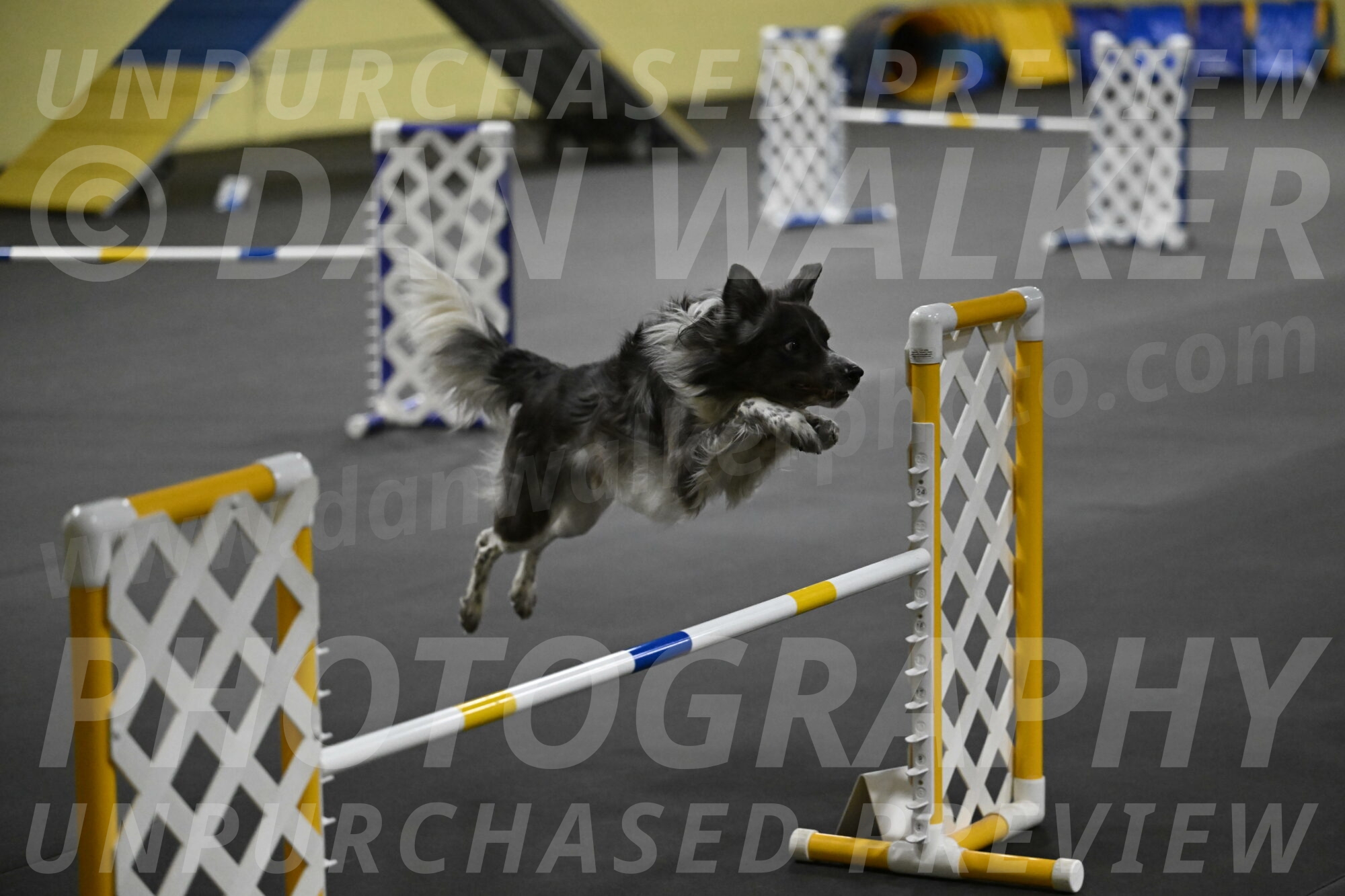 Grindylow-Rachow-04066