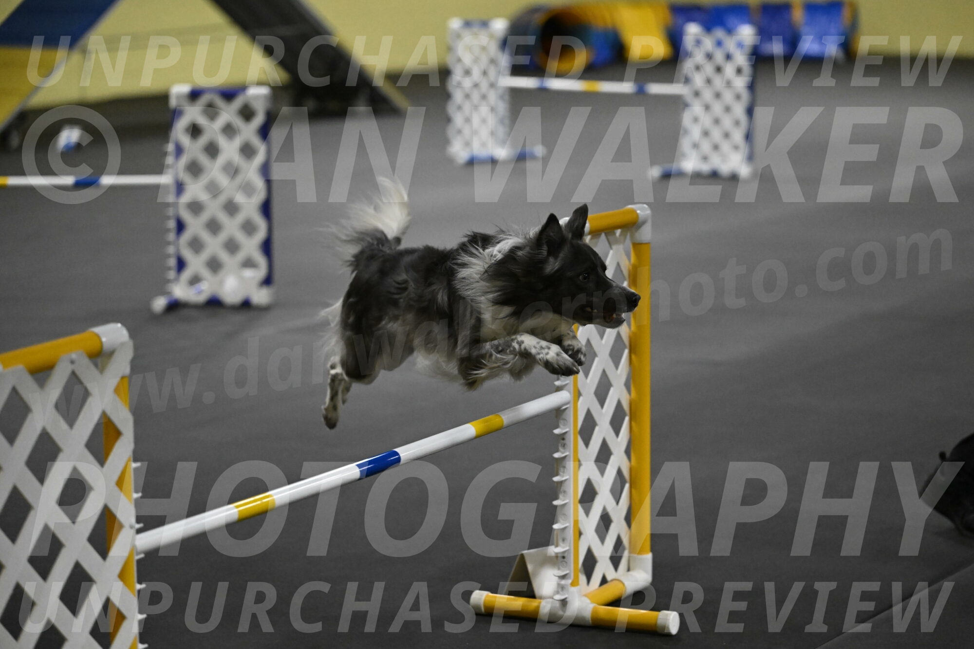 Grindylow-Rachow-04067