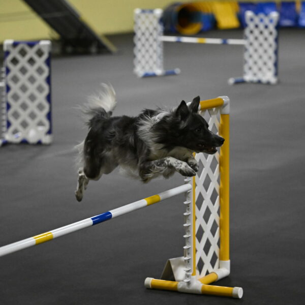 Grindylow-Rachow-04067