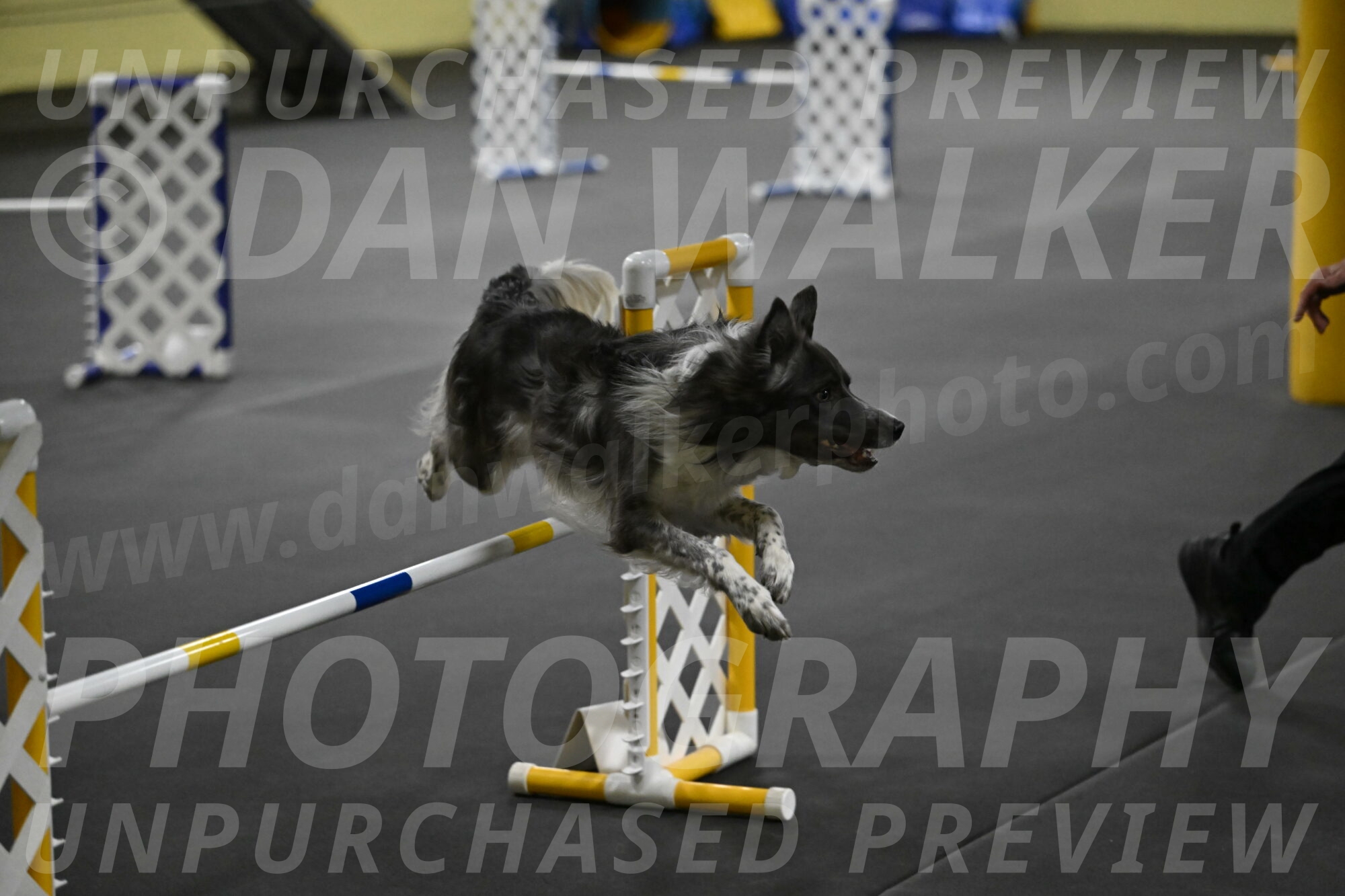 Grindylow-Rachow-04068