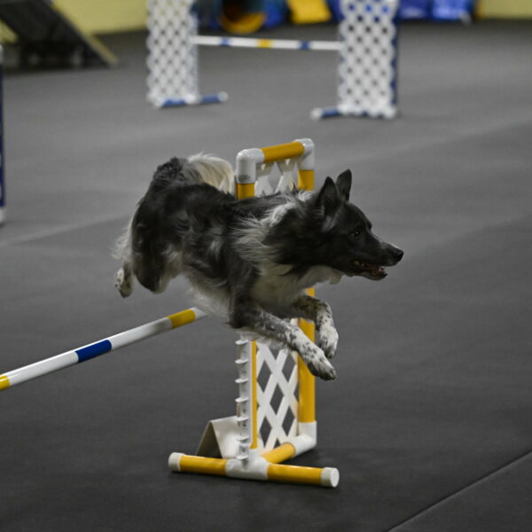 Grindylow-Rachow-04068