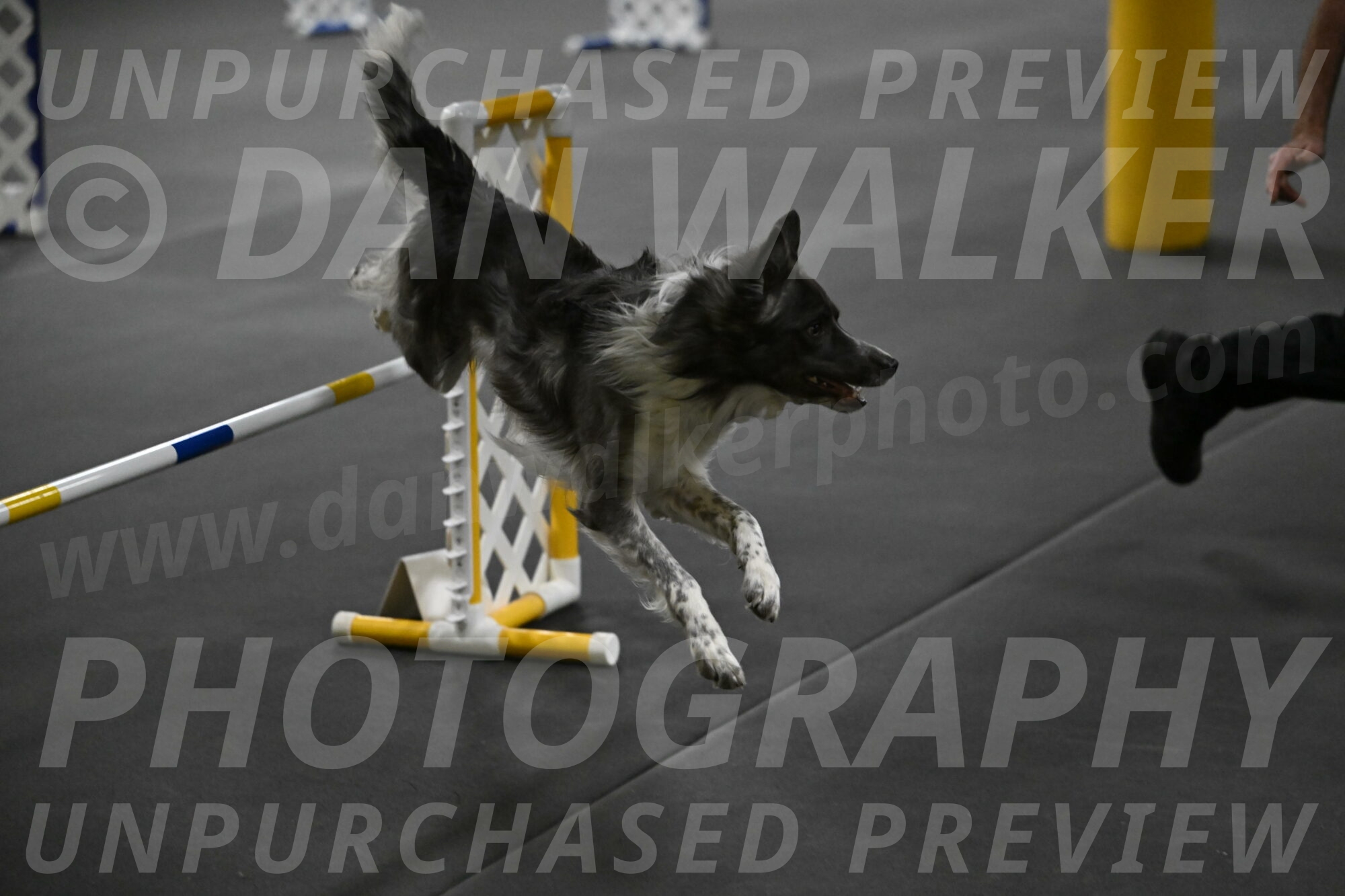 Grindylow-Rachow-04069