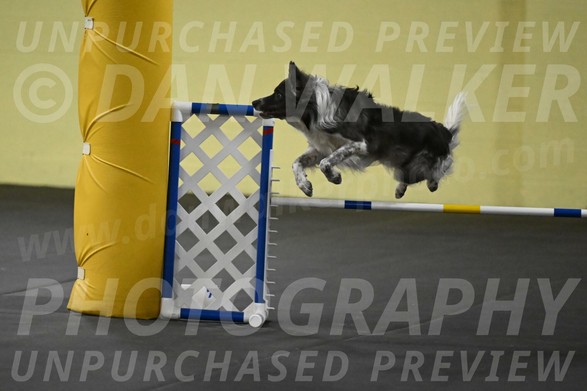 Grindylow-Rachow-04070