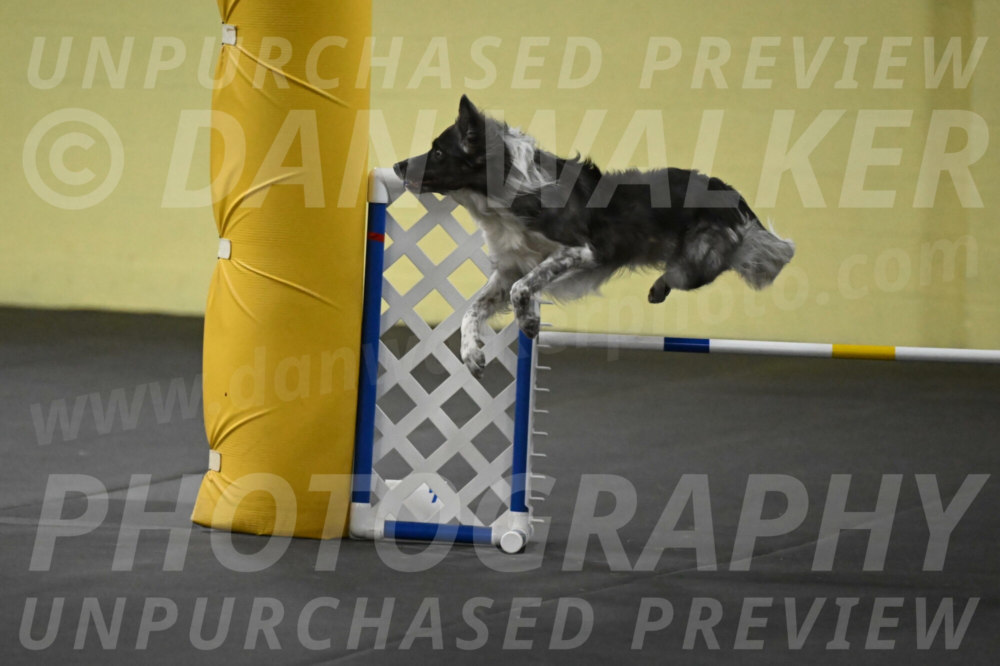 Grindylow-Rachow-04071