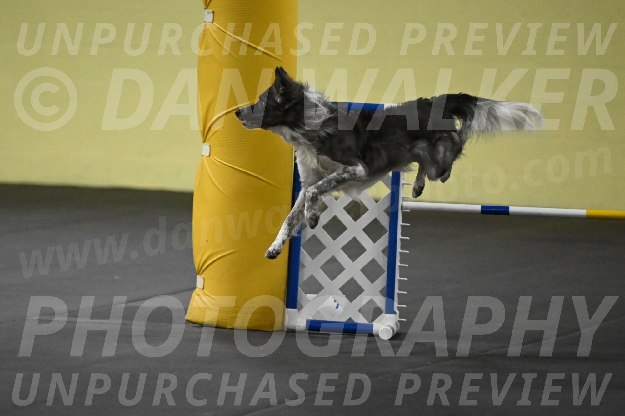 Grindylow-Rachow-04072