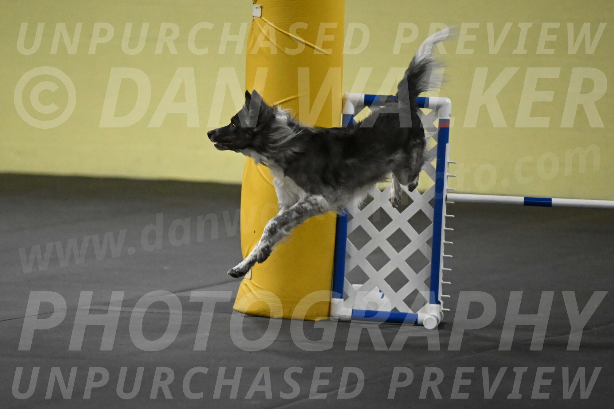 Grindylow-Rachow-04073