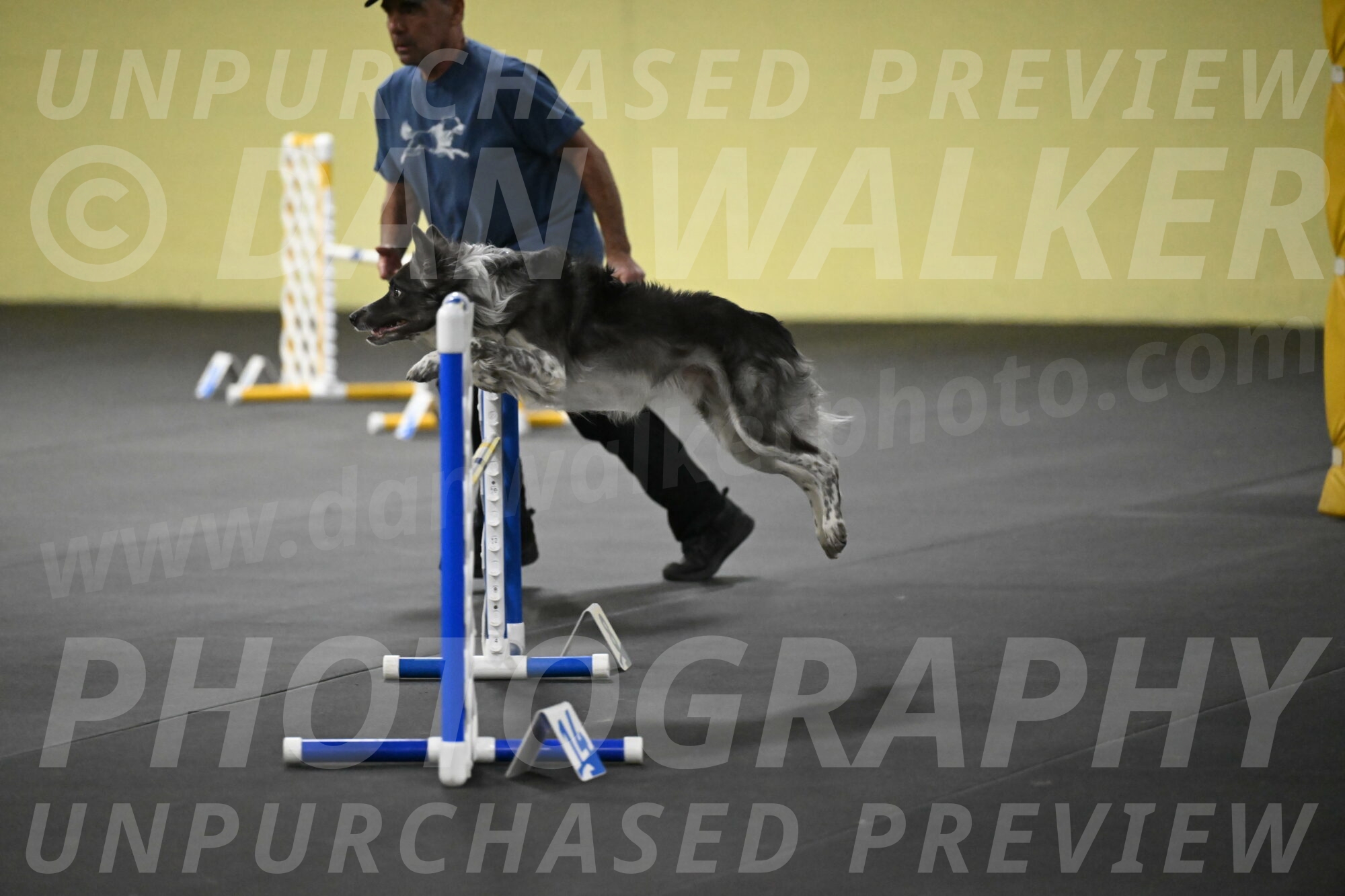 Grindylow-Rachow-04074