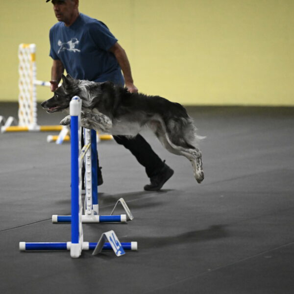 Grindylow-Rachow-04074