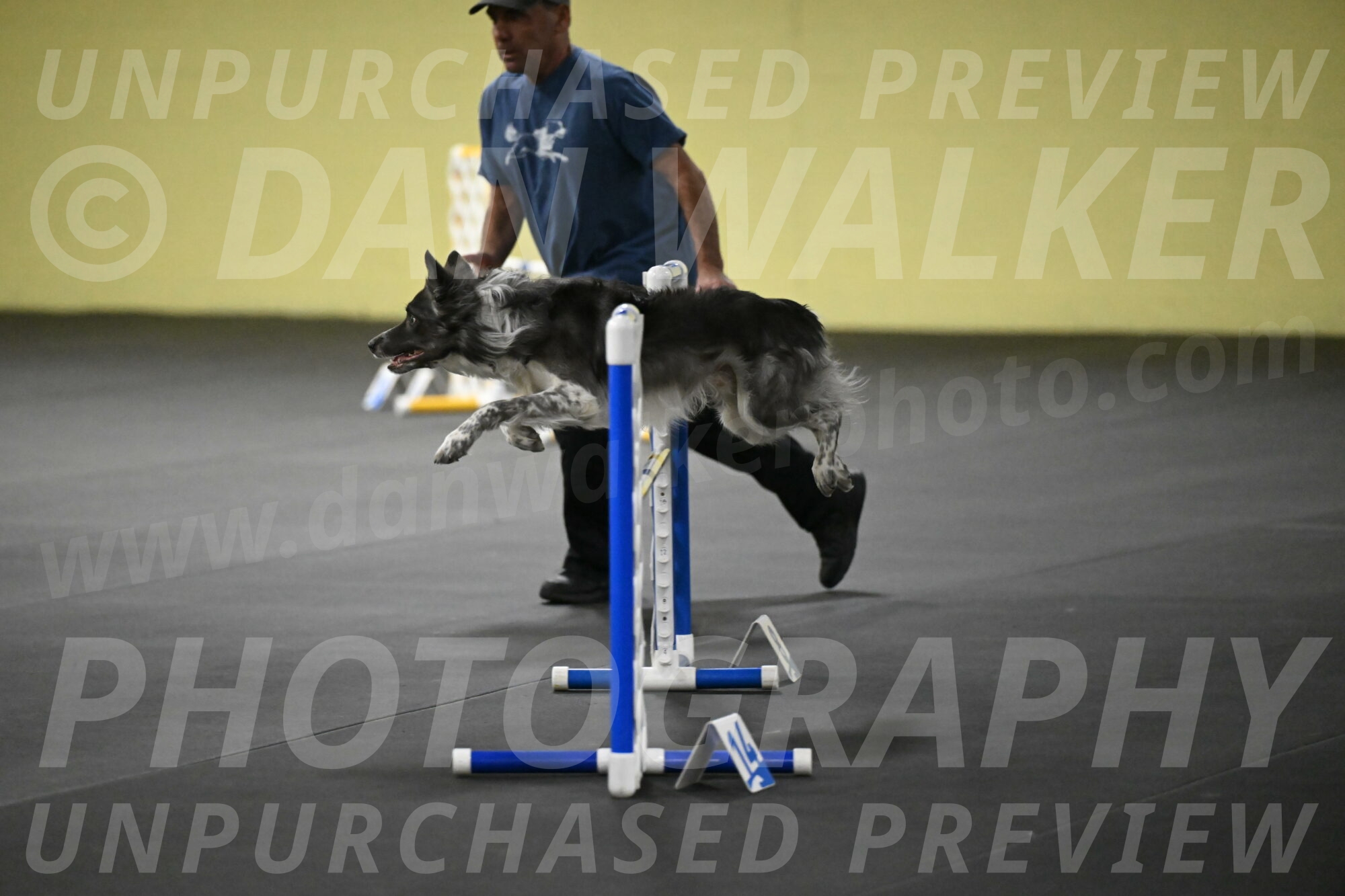 Grindylow-Rachow-04075