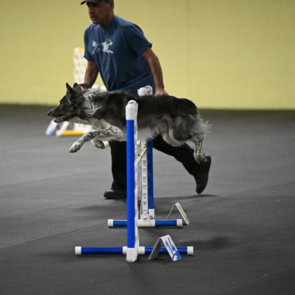 Grindylow-Rachow-04075