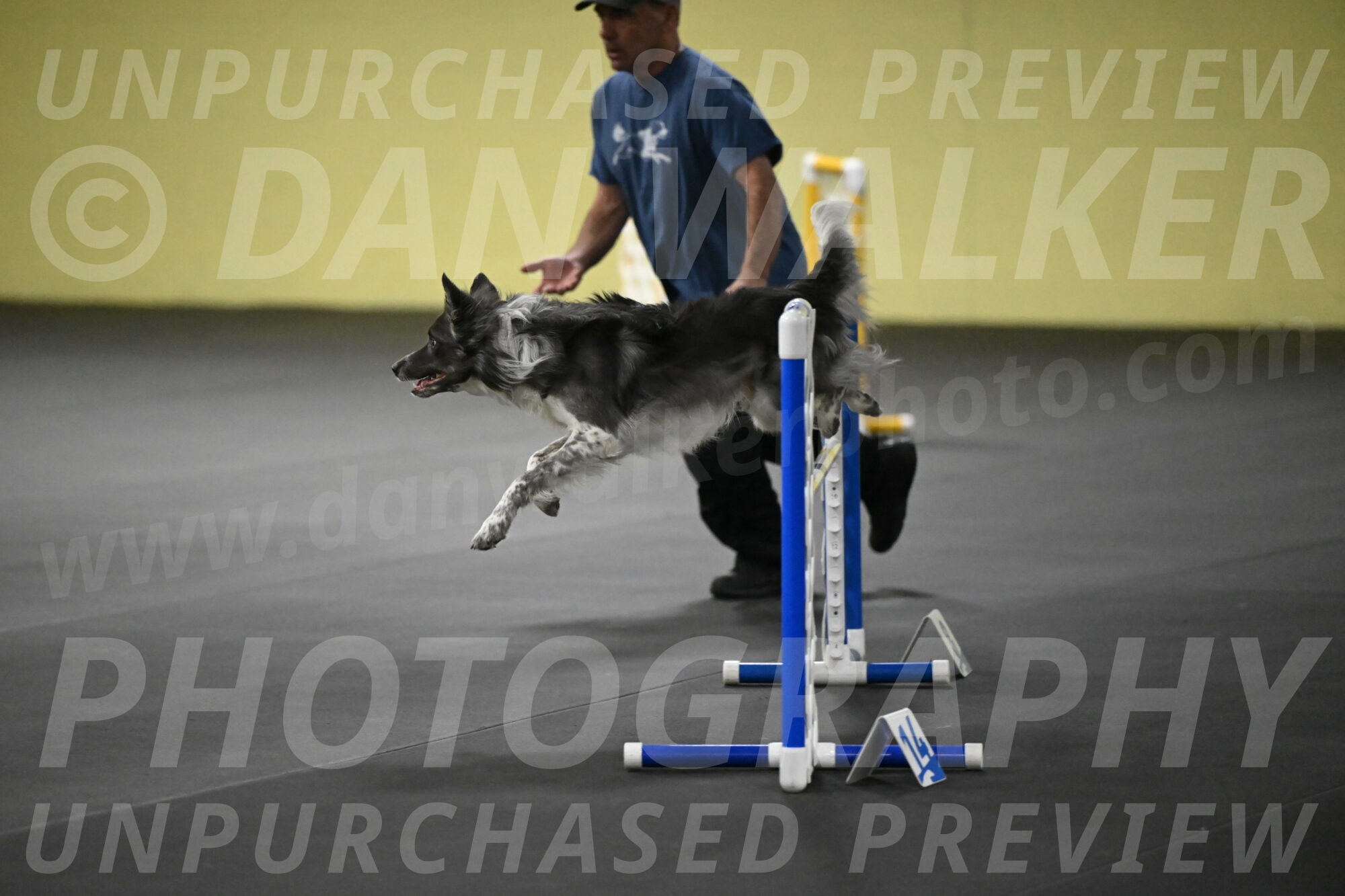 Grindylow-Rachow-04076