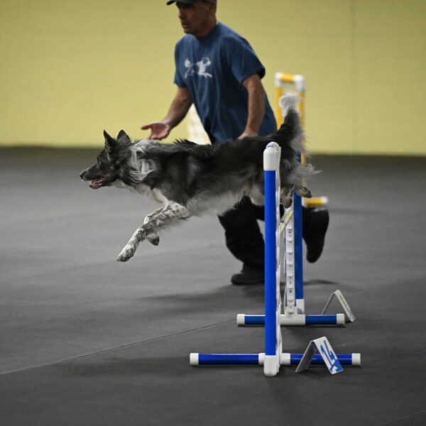 Grindylow-Rachow-04076