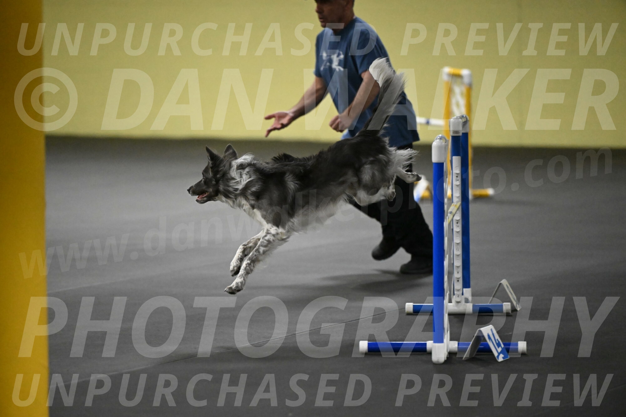 Grindylow-Rachow-04077