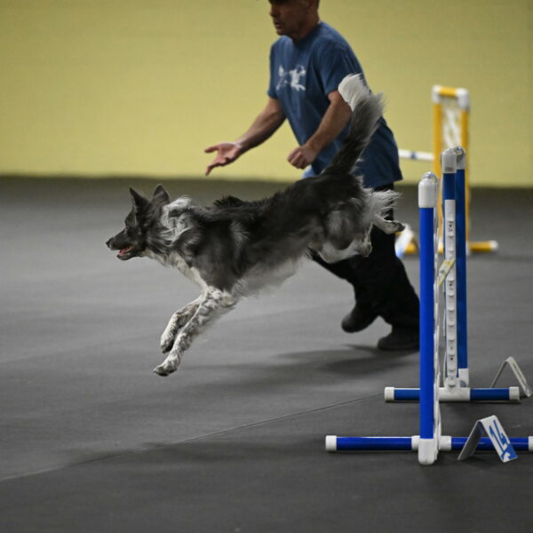 Grindylow-Rachow-04077