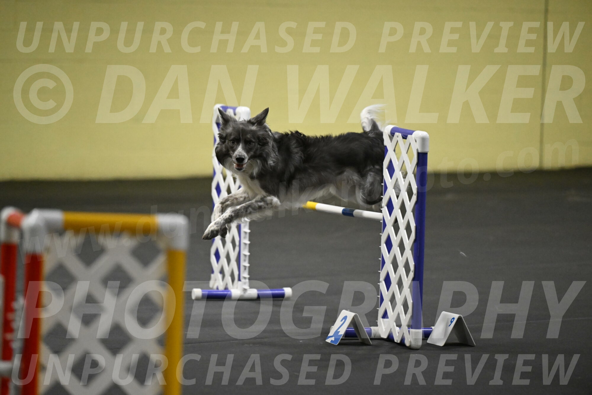 Grindylow-Rachow-04078